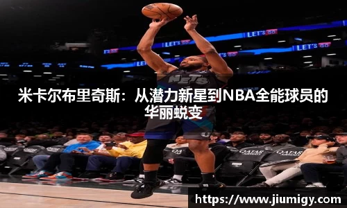 DB旗舰官网